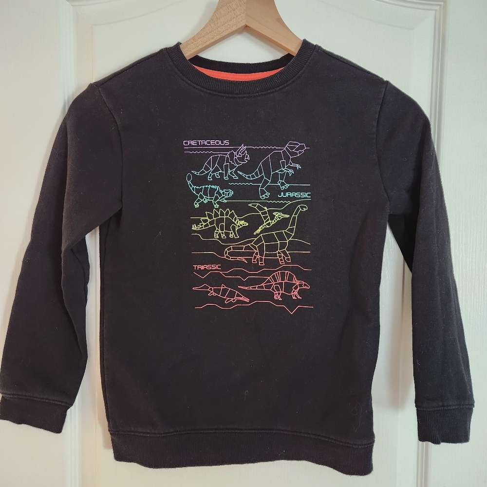 Dino Sweatshirt Little Boy